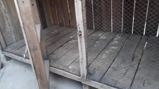 hne cage