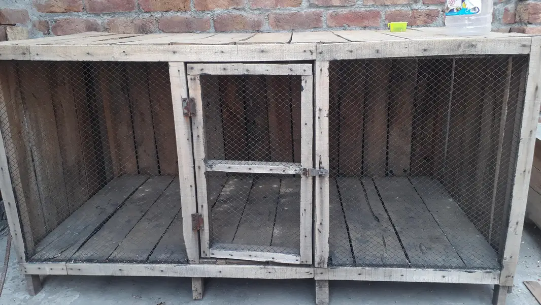 hne cage — photo 8