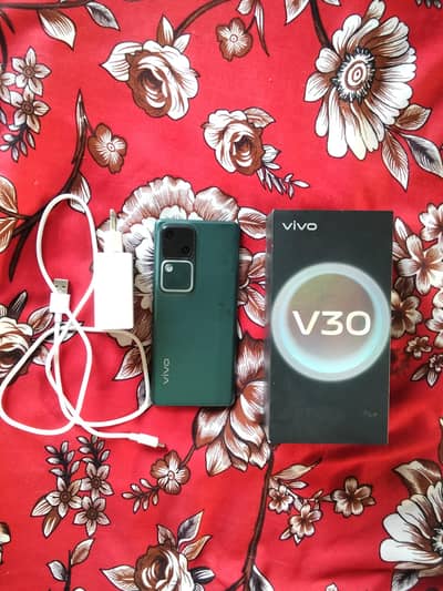 Vivo V30 12GB/256GB 10/10 Condition