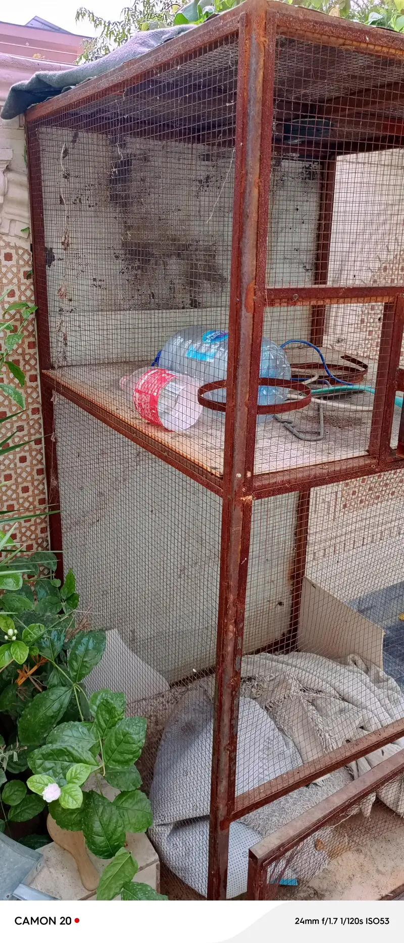 iron cage large size — photo 2