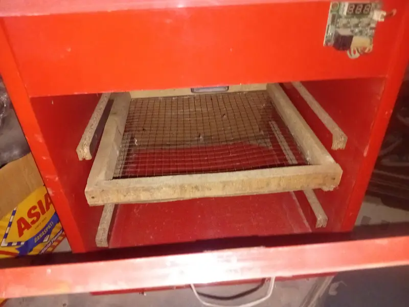 Incubator 03032665248 — photo 4
