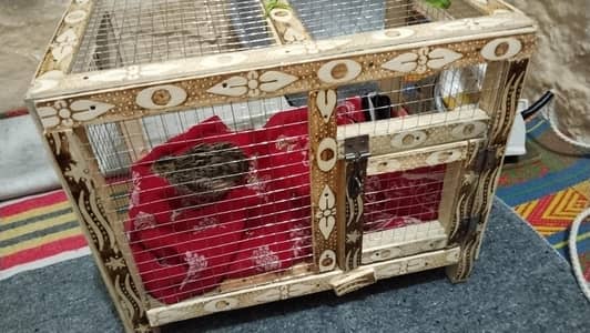 hen cage