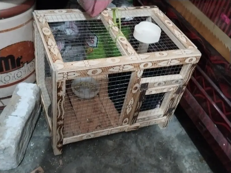 hen cage — photo 2