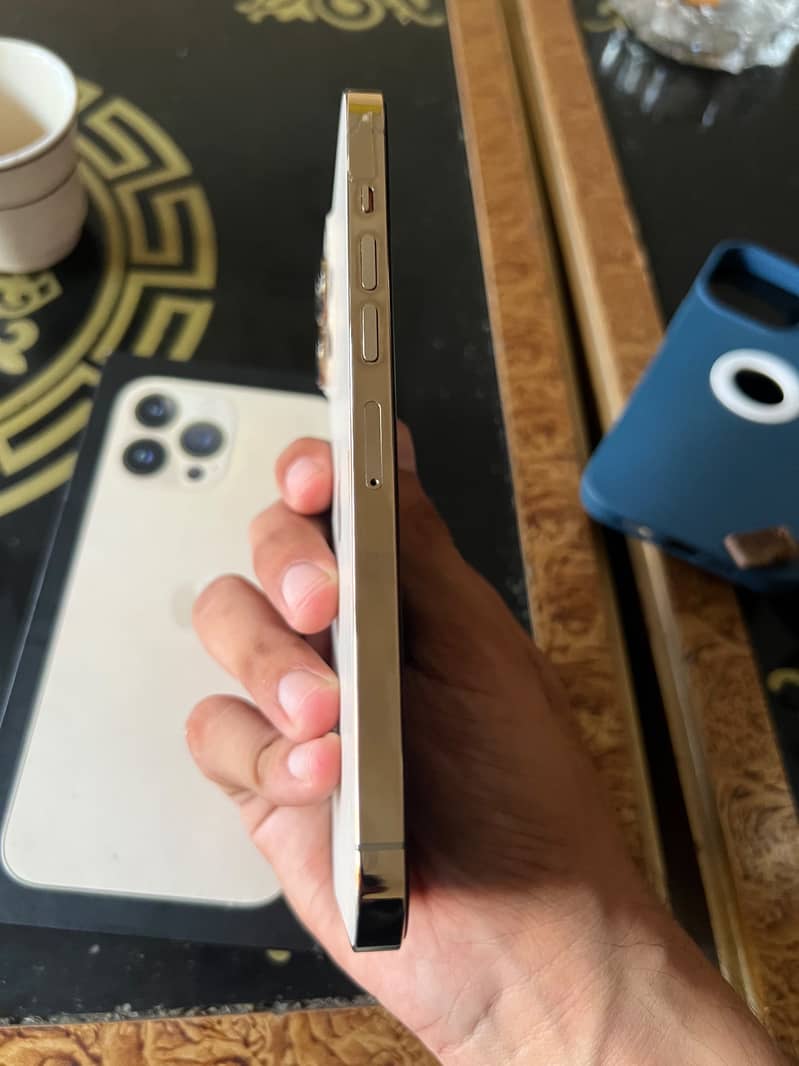 Apple iPhone 13 Pro Max 1