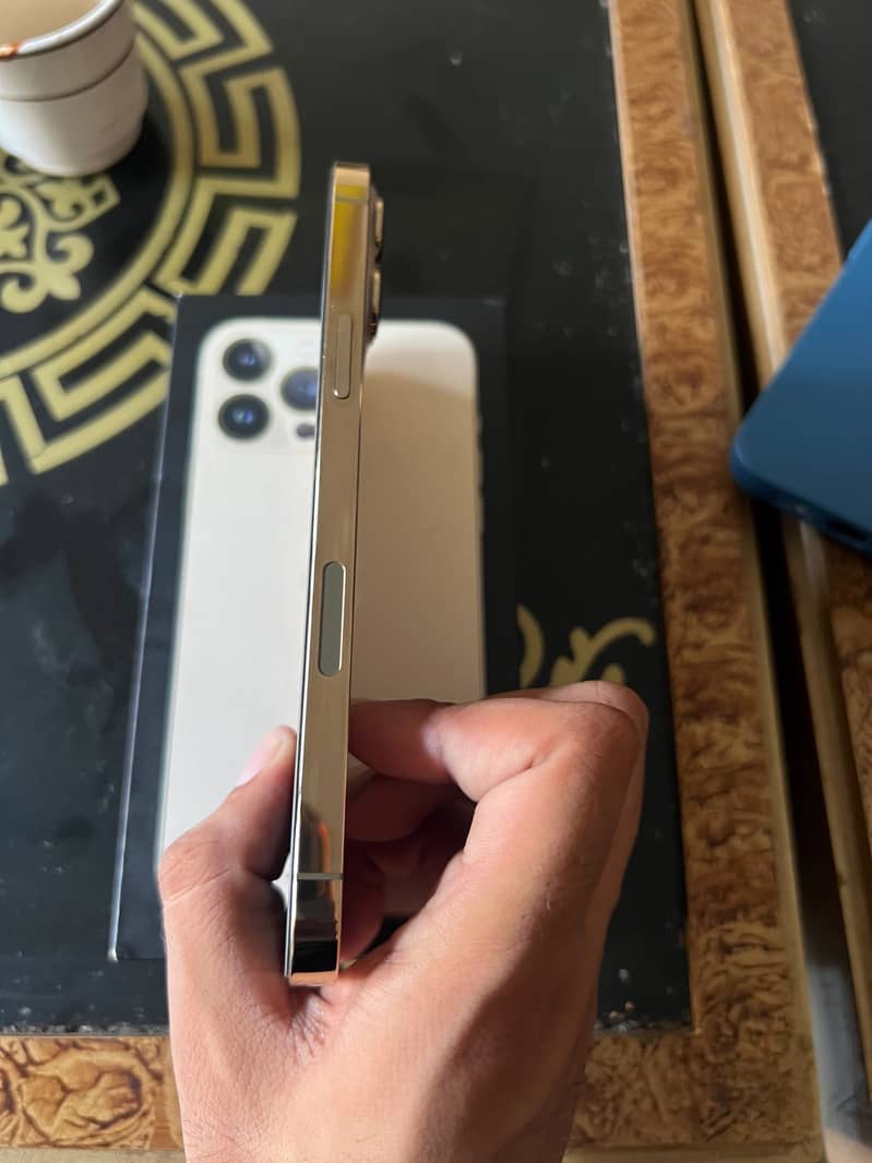 Apple iPhone 13 Pro Max 2