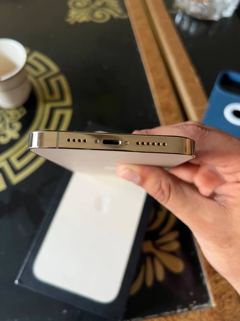 Apple iPhone 13 Pro Max 3