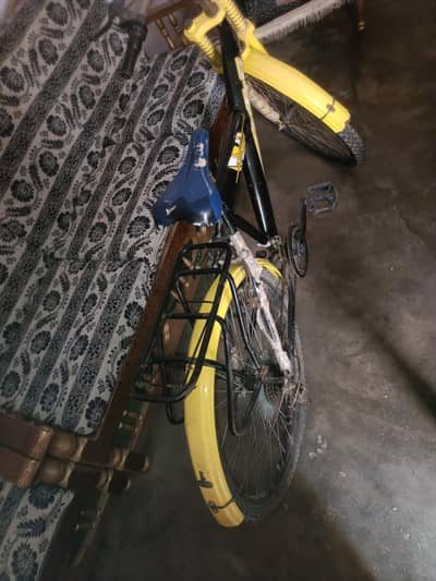Gear Bicycle 