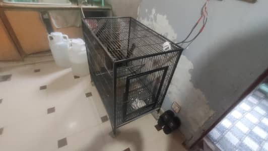 birds cage