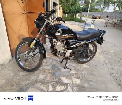 YBZ 2020 03219599697
