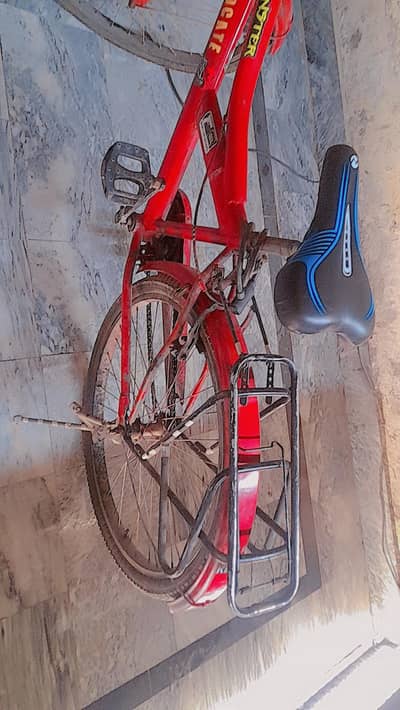 Bicycle 