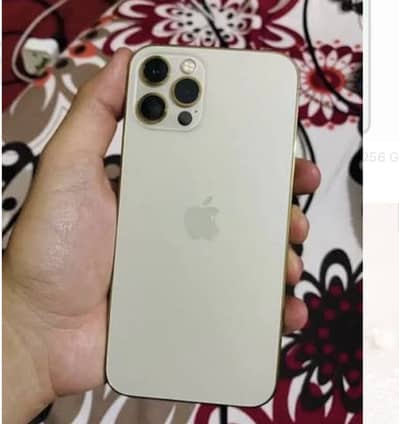 Apple iPhone 12 Pro Max