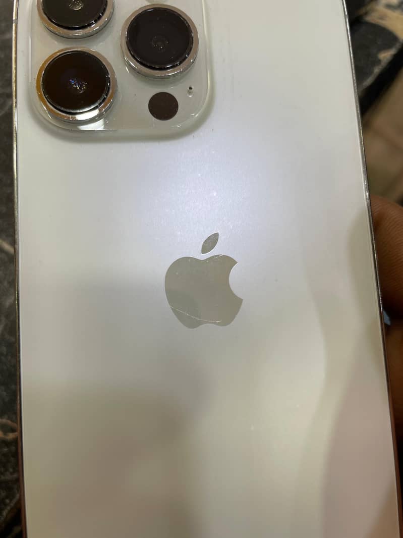 Apple iPhone 13 Pro 1