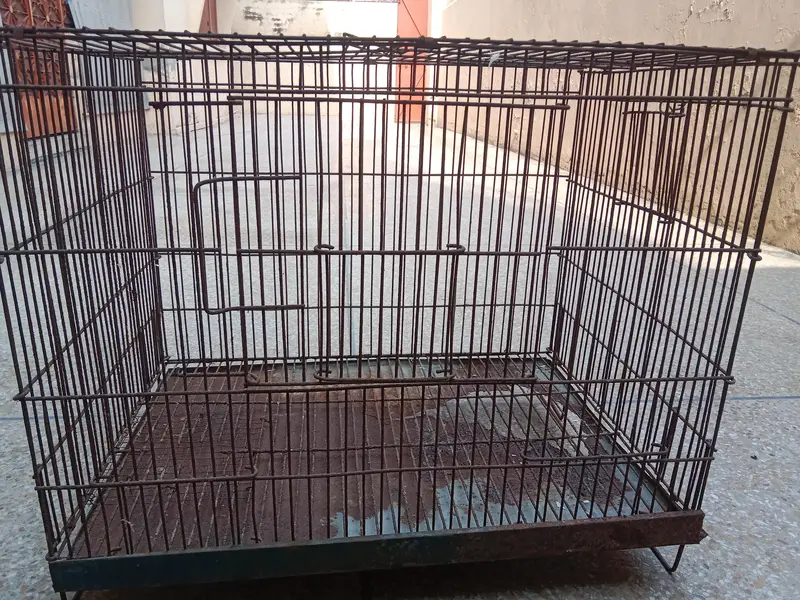 2*1.5*1.5 cage for sale. 03330031118 contact number