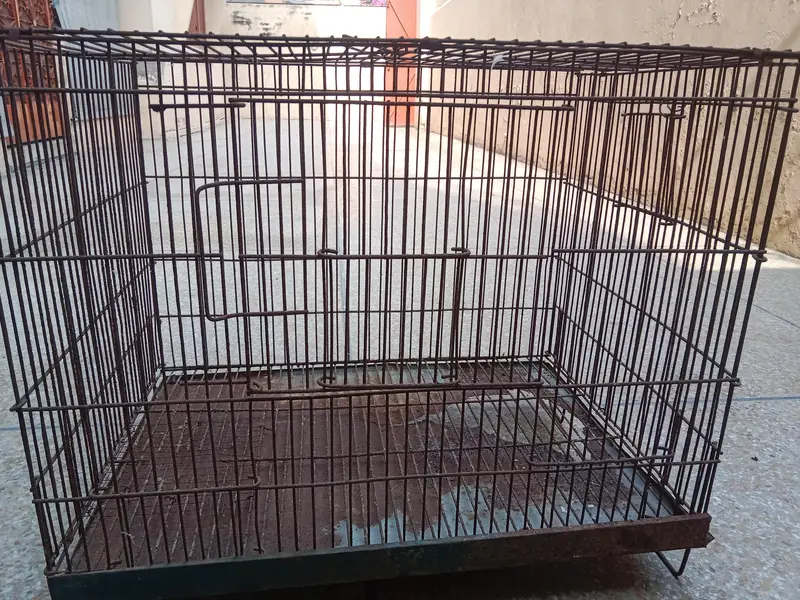 2*1.5*1.5 cage for sale. 03330031118 contact number — photo 4
