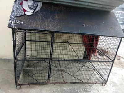 cage birds house for sale