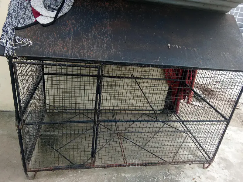 cage birds house for sale — photo 2