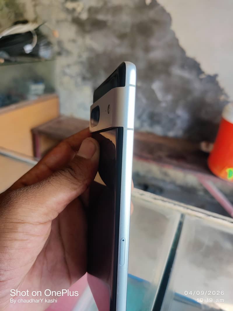 Google Pixel 7 pta 4