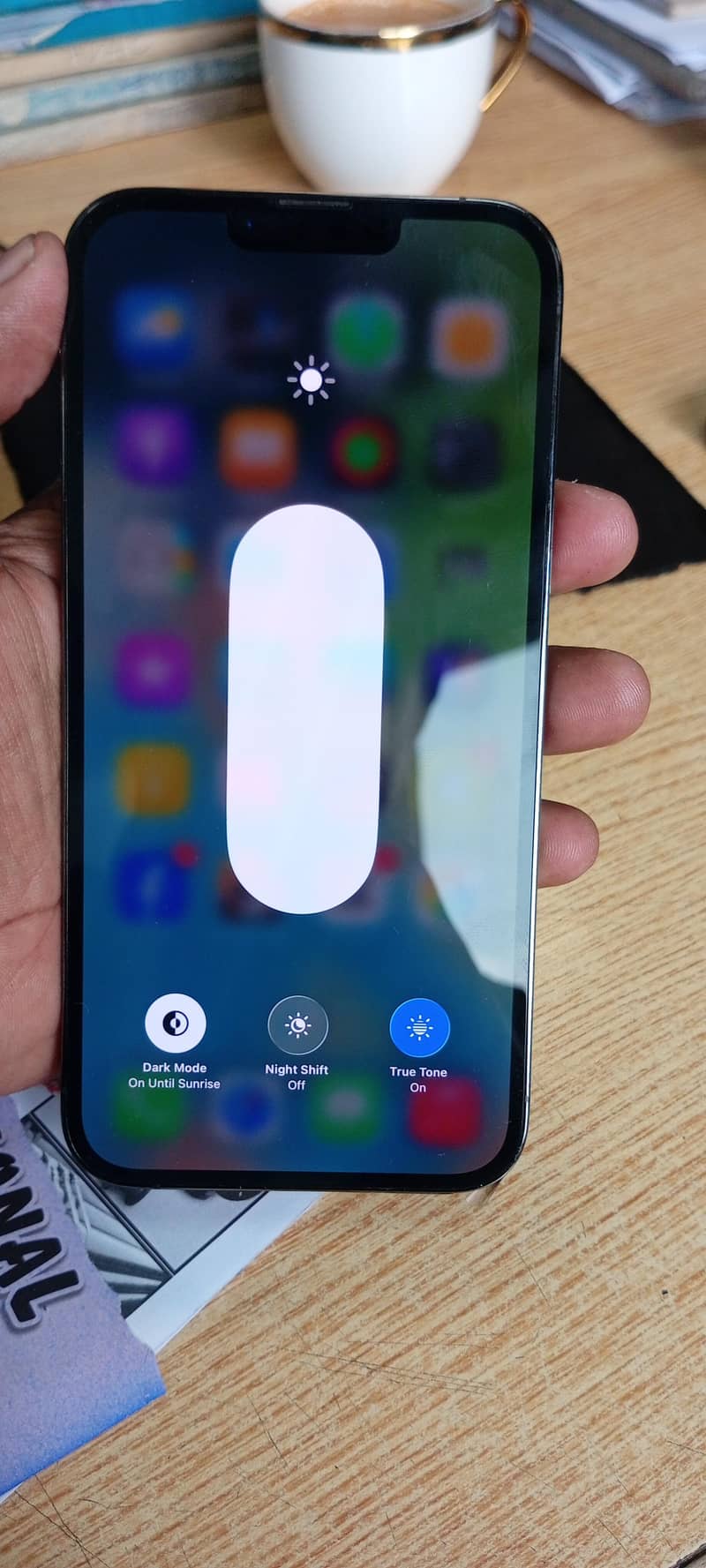 Apple iPhone 13 Pro Max 1