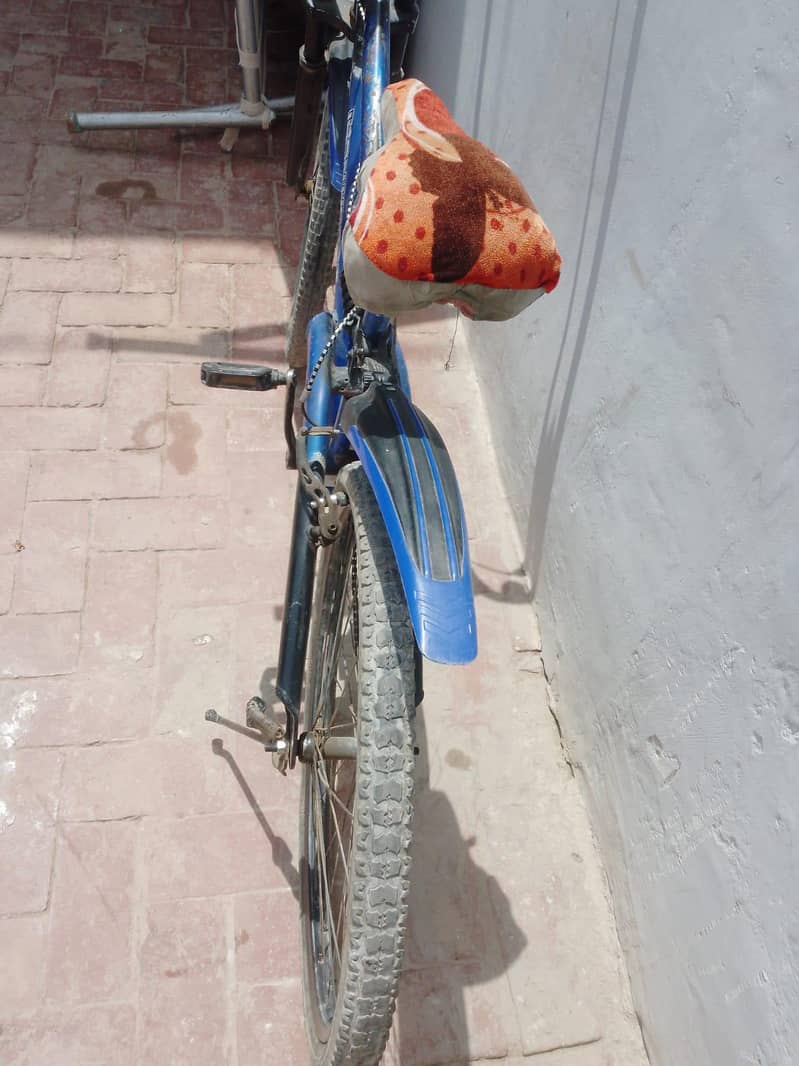 cycle used 1