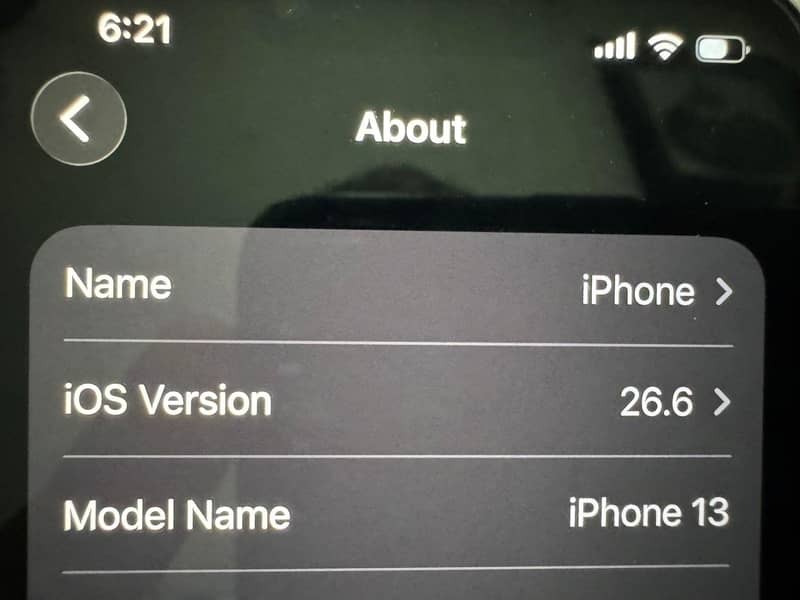 Apple iPhone 13 2