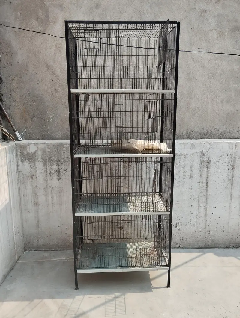 BIRDS CAGE