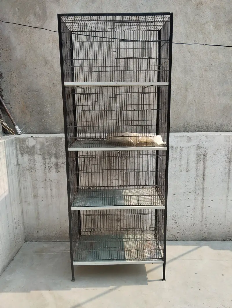 BIRDS CAGE — photo 3