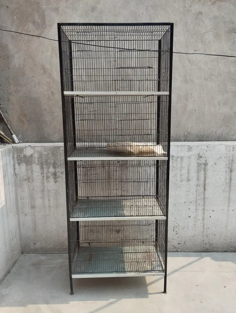 BIRDS CAGE — photo 4