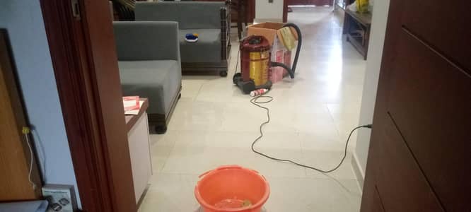 Sofa cleaning