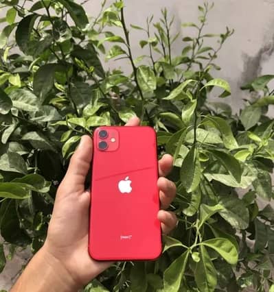 Apple iPhone 11