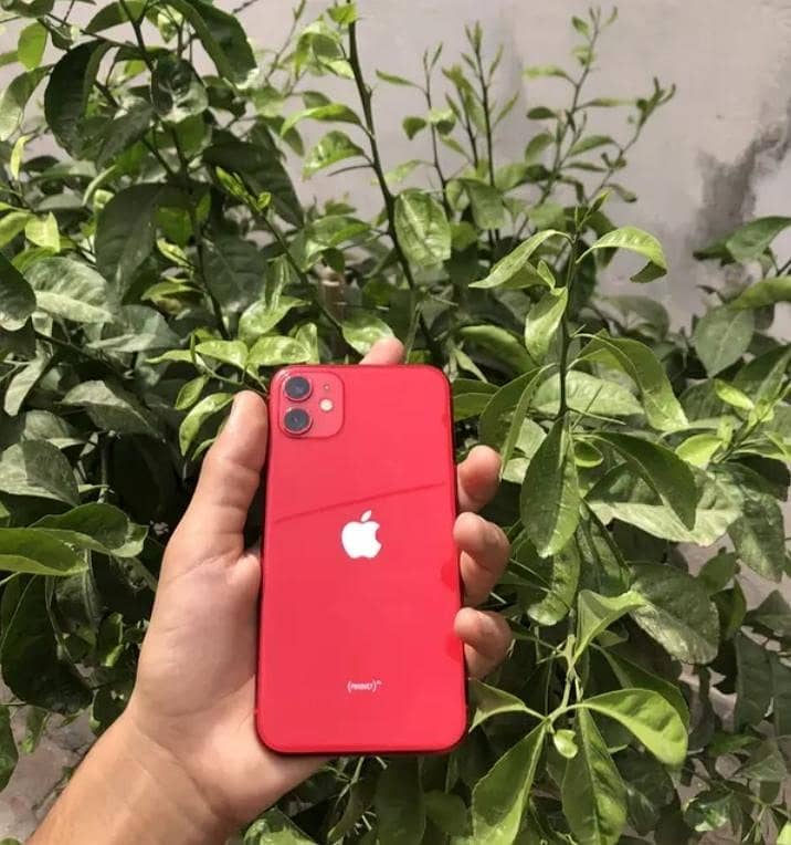 Apple iPhone 11 0