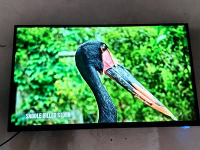 LED Android smart TV look like New