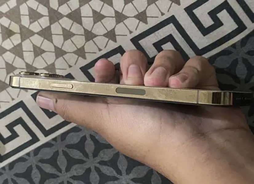 Apple iPhone 13 Pro Max 0