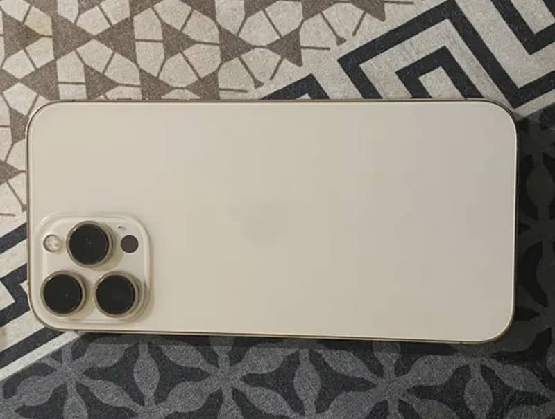 Apple iPhone 13 Pro Max 2
