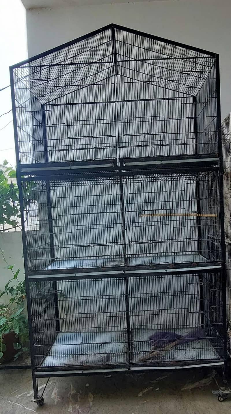 CAGEs 0