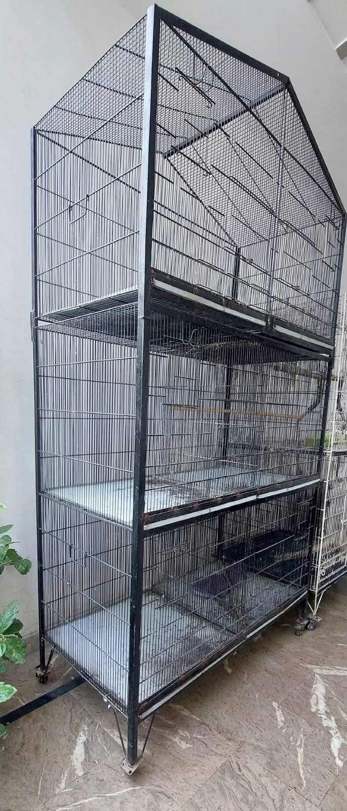 CAGEs 1