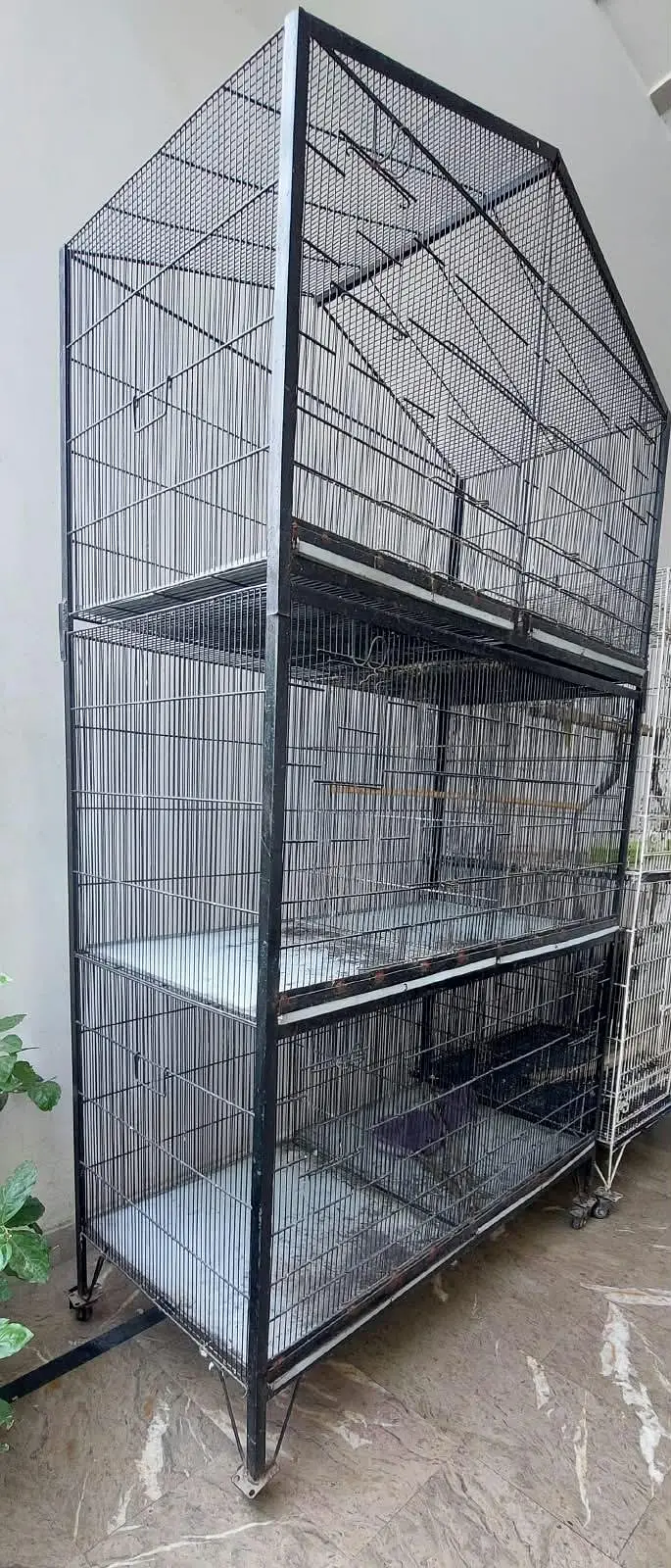 CAGEs — photo 2