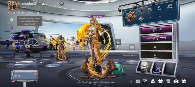 Gaming Collectibles & ID Details