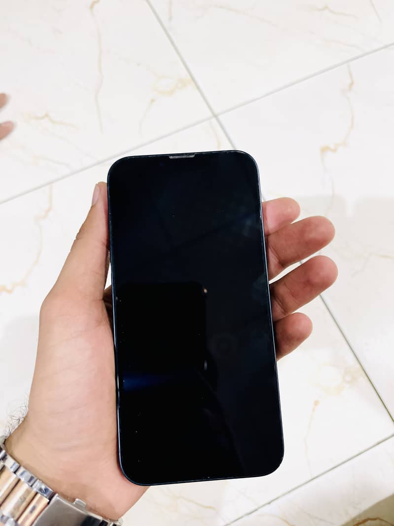 Apple iPhone 13 1