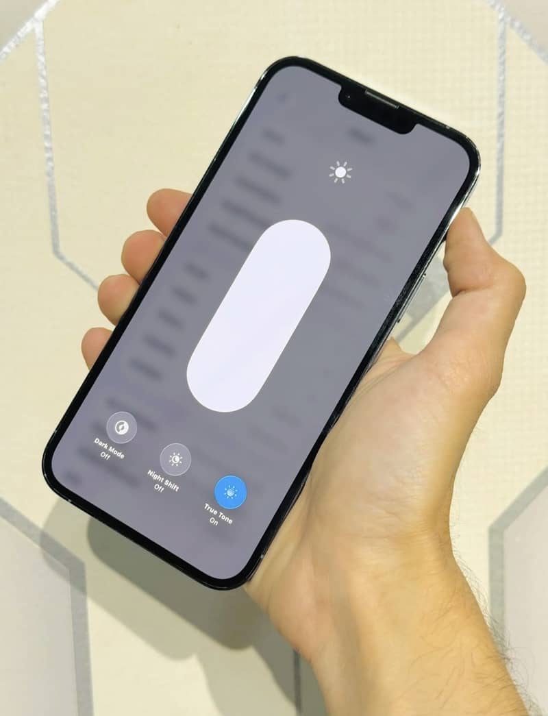 Apple iPhone 13 Pro Max 1