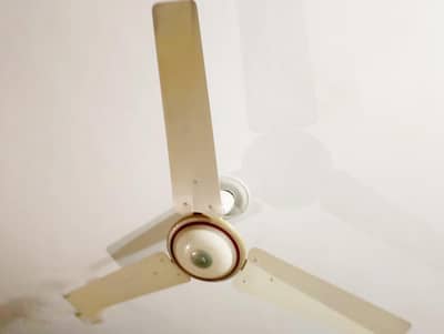 Ceiling Fan