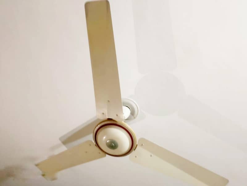 Ceiling Fan 0