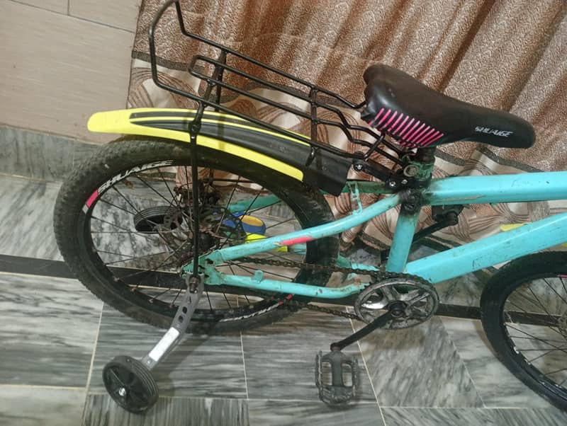bicycle 2