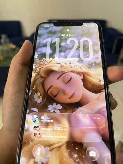Apple iPhone 11 Pro Max