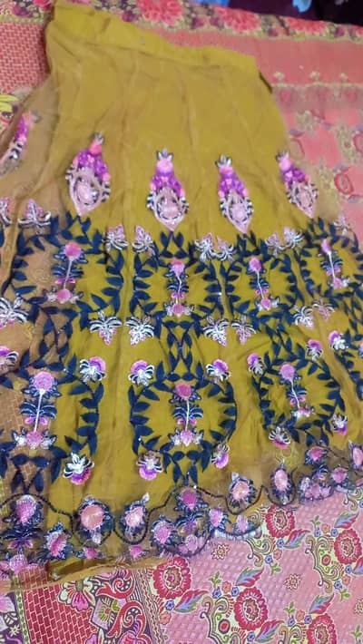 Embrodrey Lehnga