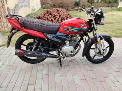 Yamaha YBZ-DX 2022 Model (New Condition)