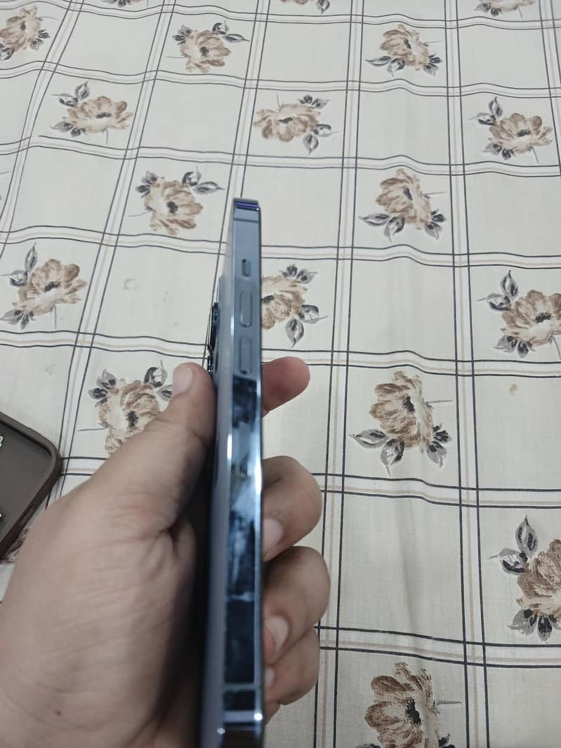 13 pro 256 1