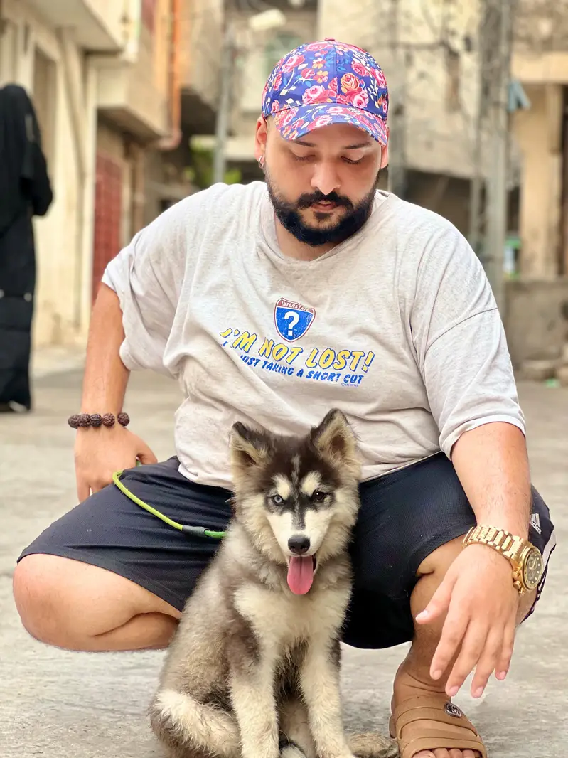 Odd eyes husky male puppy — photo 4