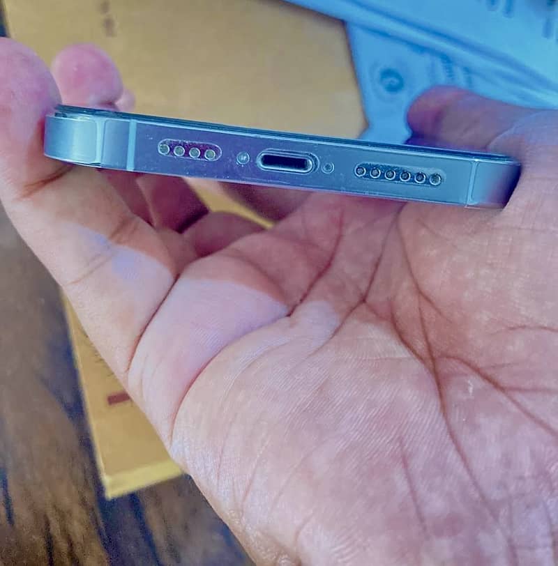 Apple iPhone 13 Pro Max 1