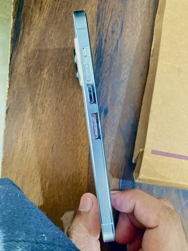 Apple iPhone 13 Pro Max 2