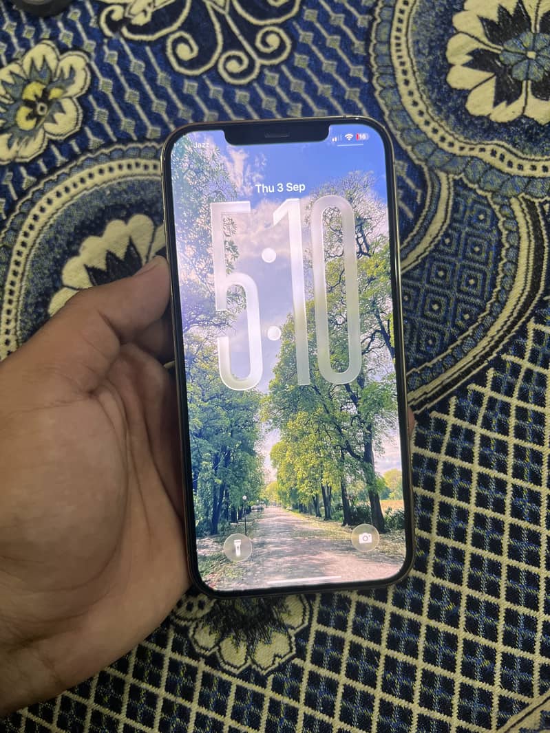 Apple iPhone 12 Pro Max 1